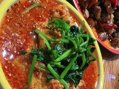 -柴窝堡22号辣子鸡·传承新疆菜