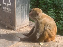 -黔灵山公园