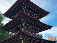 -医王山·飞騨国分寺