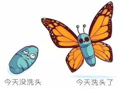 -张生记(丁香国际店)