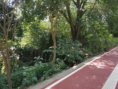 -三圣花乡旅游区