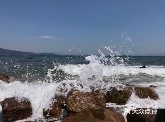 摄于家杨梅坑的海边。肥鸟在阳台的窗外