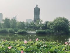 -西海子公园