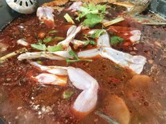 -大江美蛙鱼火锅(都江堰店)