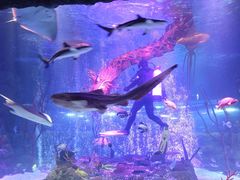 -沈阳海洋探索中心