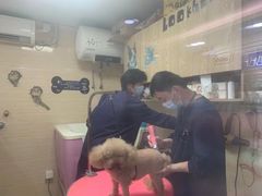 -全心全意连锁动物医院(石景山店)