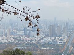 -大蜀山国家森林公园