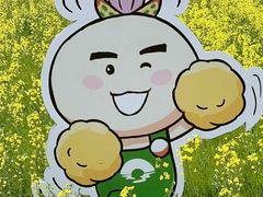 -同里国家湿地公园