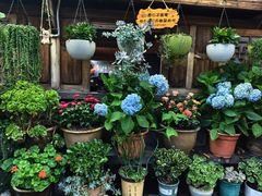 -龙姐私房菜(和顺古镇店)