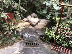 -西安国际创新人才交流中心•药浴温泉