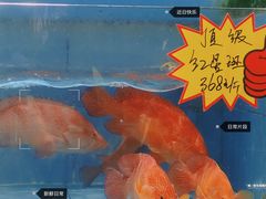 -大水车公馆·顺德菜·妈姐菜(均安店)