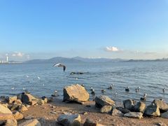 -深圳湾公园(南山区)