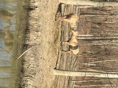 iphone_upload_pic-溱湖国家湿地公园