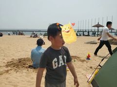 -碧海金沙