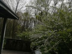 -西湖风景区-江洋畈生态公园