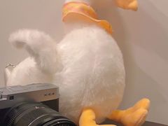 -Again Coffee Roaster(香蜜湖店)