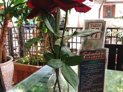 -萨尔瓦多Salvador's