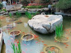 -聚缘堂·海鲜私房菜(松岭路店)