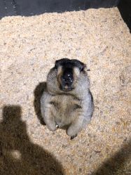 -酷嗒动物文化乐园(cutezoo西溪乐天城店)