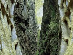 -张家界天门山国家森林公园