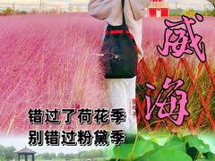 -威海华夏城景区