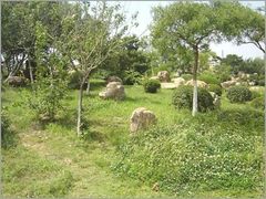 -长春公园(普阳街道)