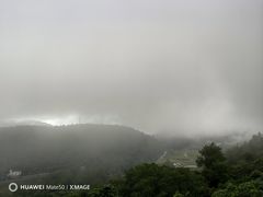 -武陵山森林公园