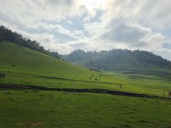 -关山草原