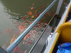 -陶祖圣境风景区