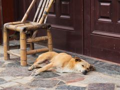 -清漾毛氏文化村