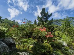 -东莞植物园
