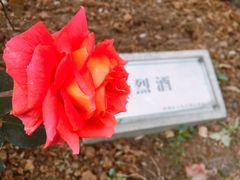 -人民公园(罗湖区)