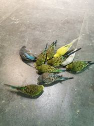 -酷嗒动物文化乐园(cutezoo西溪乐天城店)