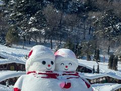 -东北亚滑雪场