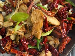 -蘑统田下·野生菌火锅