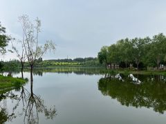 -东郊湿地公园