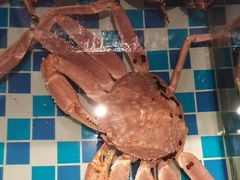 -南海底小海鲜·湘菜(鲁巷吴家湾店)