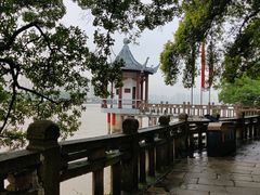 -江心屿景区