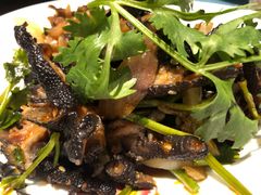 -胡桃里音乐酒馆(环亚凯瑟琳广场店)