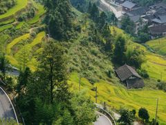 -紫鹊界梯田景区