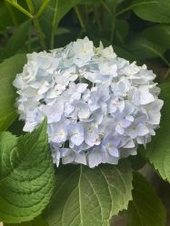 -凡瑜伽·普拉提