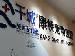 -千城康桥宠物医院CT影像·骨科·心脏专科中心(厚街分院)