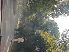 -南京市江宁方山