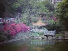 -小南山公园