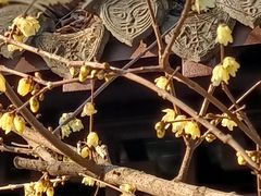 -狼山风景名胜区