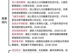 -圣淘沙天际线斜坡滑车