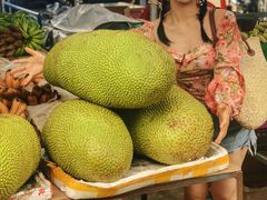 -兴隆华侨农场