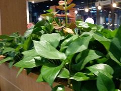 -COSTA COFFEE(丰联广场店)