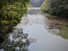 -梁鸿国家湿地公园