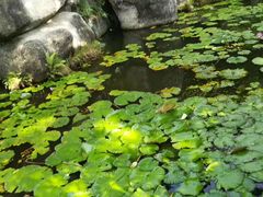 -珠海圆明新园